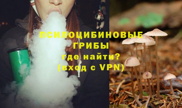 амфетамин Богородицк