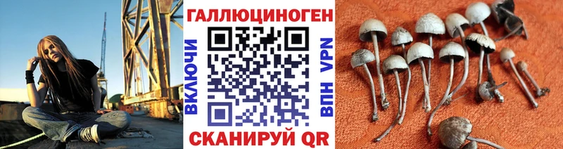 Купить закладки Рудня Галлюциногенные грибы прущие грибы